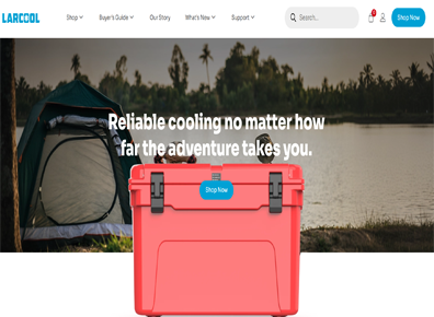 Screenshot of  web app